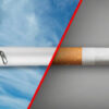 Different smoking alternatives: A detailed Guide